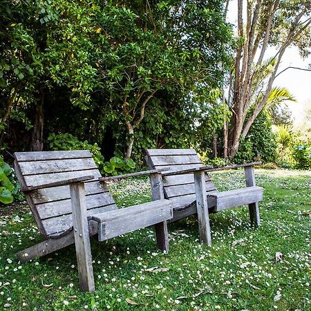Amongst The Nikau Villa Waihi Eksteriør bilde
