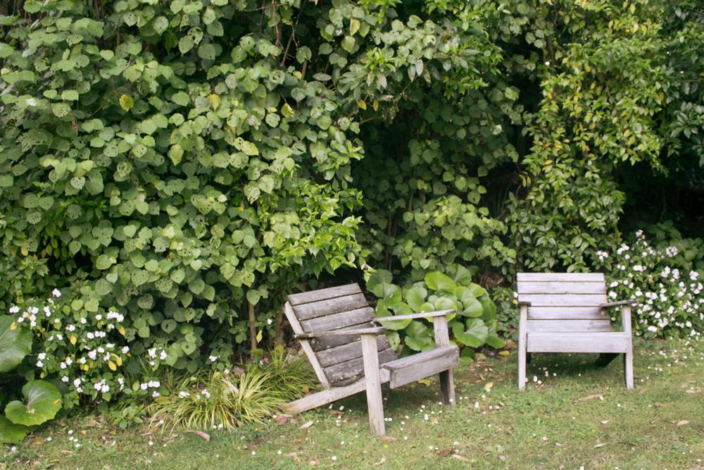 Amongst The Nikau Villa Waihi Eksteriør bilde