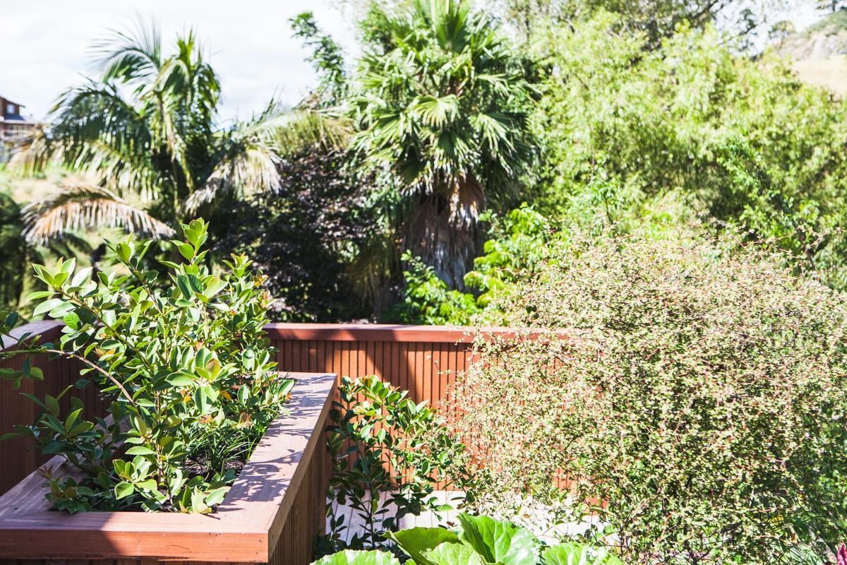 Amongst The Nikau Villa Waihi Eksteriør bilde